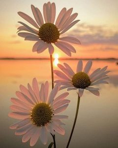 11 reggeli pozitív megerősítés